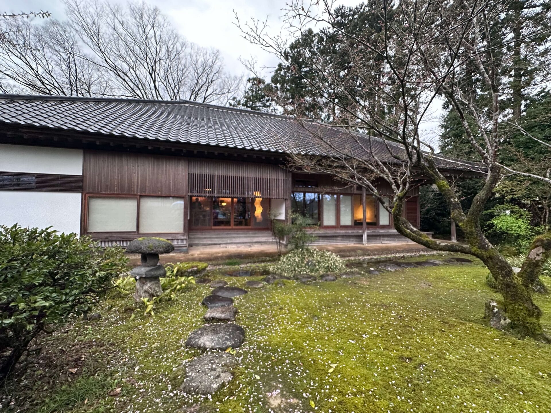 250415　暴風雨の中、