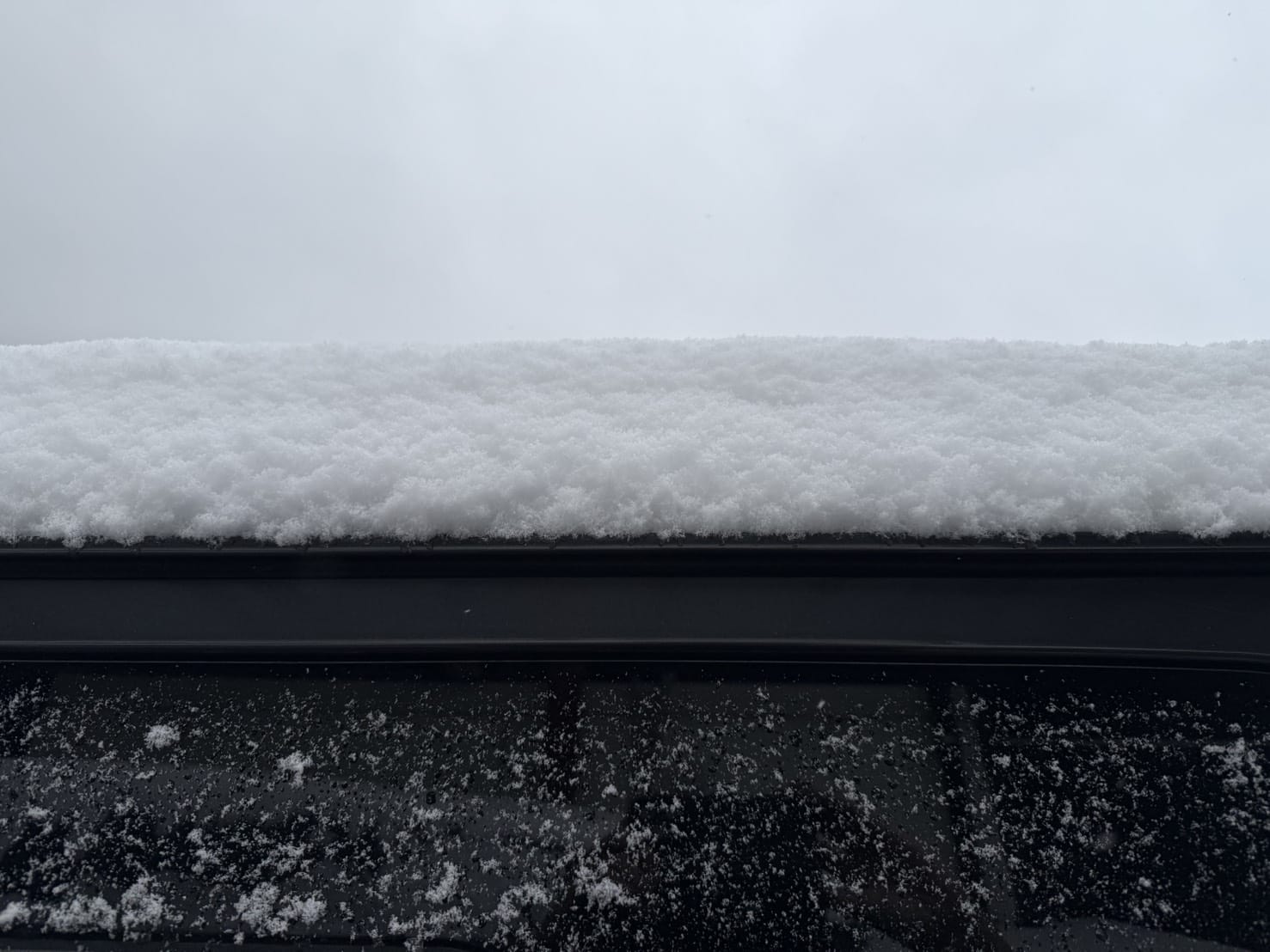 冬の始まり⛄